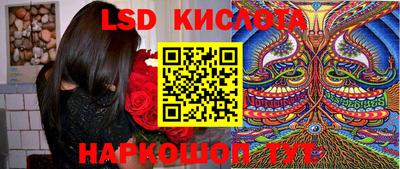 гидропоника Можга